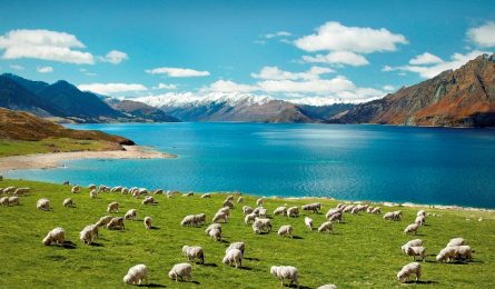 Thủ tục & Hồ sơ làm Visa New Zealand