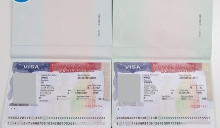 Xin visa Mỹ thành công – Bí kíp hoàn thiện hồ sơ và chinh phục lãnh sự Mỹ
