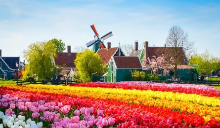 Xin visa Hà Lan – Hướng dẫn chi tiết quy trình, thủ tục, hồ sơ, lệ phí từ Visa Nhanh