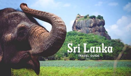 Hướng dẫn hồ sơ thủ tục quy trình xin visa Sri Lanka mới nhất và chi tiết nhất